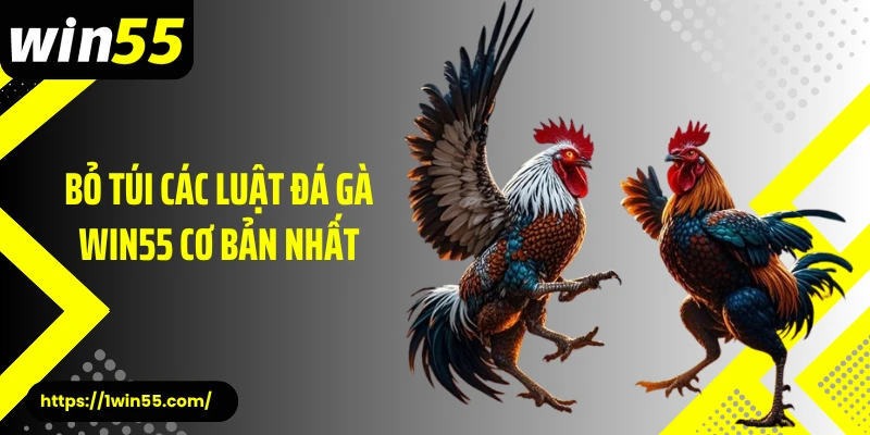 Bỏ túi các luật đá gà Win55 cơ bản nhất