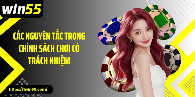 Các nguyên tắc trong chính sách chơi có trách nhiệm