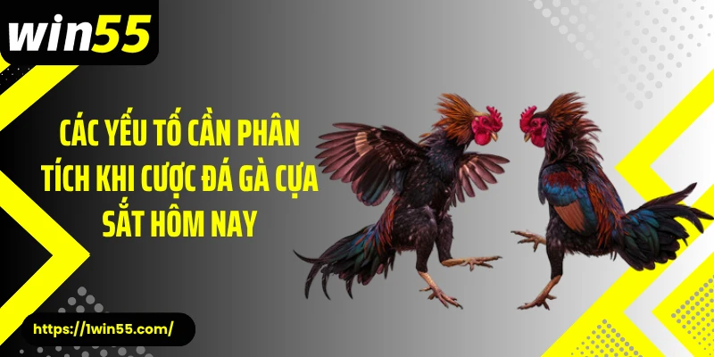 Các yếu tố cần phân tích khi cược đá gà cựa sắt hôm nay