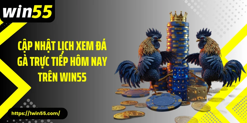 Cập nhật lịch xem đá gà trực tiếp hôm nay trên Win55