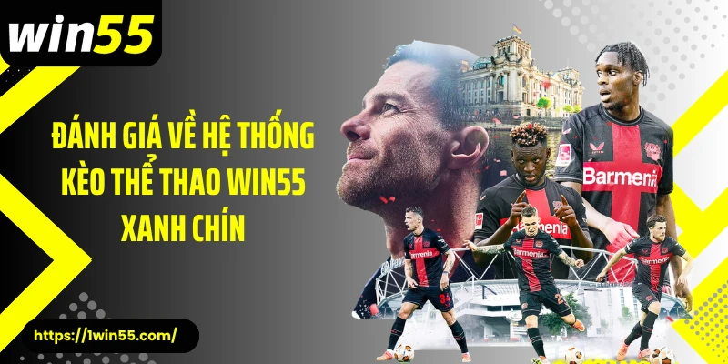 Đánh giá về hệ thống kèo thể thao Win55 xanh chín