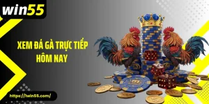 Xem Đá Gà Trực Tiếp Hôm Nay - Hòa Mình Vào Từng Pha Ra Đòn